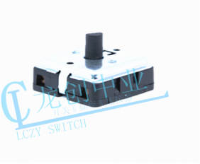 Appliance switch